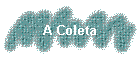 A Coleta
