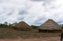Três momentos da construção das casas Xavante. Foto Fernando Zambada