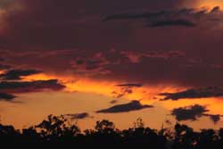 Fim de tarde no cerrado. Ró hoiwahö hã. Foto Xanda de Biase