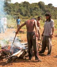A caça é um pouco assada para que seja um bom casamento, se o rapaz levar a carne crua estará desrespeitando a família da moça. Foto Francisco Junior