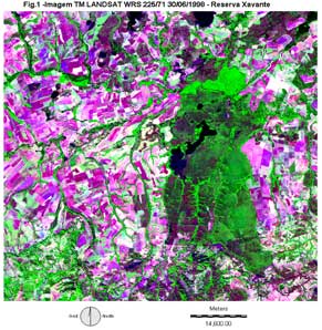 Nesta foto, do satélite TM Landsat 225/71 de 17/06/99, podemos observar que o Território de Sangradouro (em verde), é uma ilha de cerrado intacto em meio ao desmatamento (em rosa e roxo) praticado nas propriedades vizinhas. Agradecimentos Ariovaldo Umbelino de Oliveira.